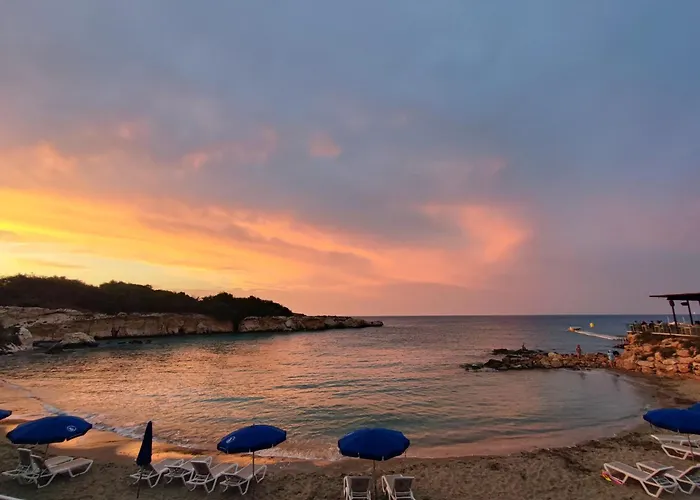 Anemone - Walk To The Apartmán