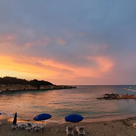 Anemone - Walk To The Daire