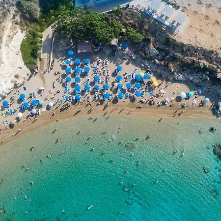 Daire Anemone - Walk To The