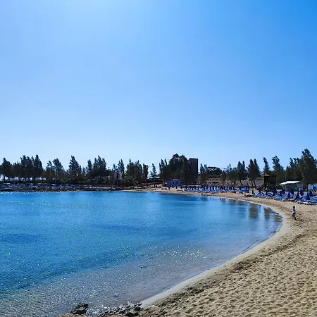 Daire Anemone - Walk To The Paralimni