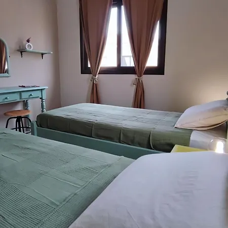 Daire Anemone - Walk To The